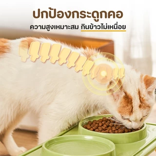 【CAT&DOG】 ชามแมวกันมด ชามอาหารแมว ชามแมว 2 ชาม ชามหมา การออกแบบชามคู่ ใช่ได้ตั้งกินและดื่ม