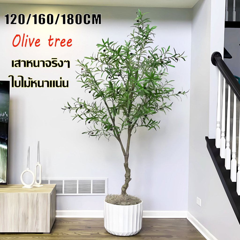 【ส่งจากกทม.24ชม.】120/150/180cm ต้นไม้ปลอม ต้นโอลีฟ ต้นไม้ปลอมใหญ่ สไตล์นอร์ดิกอิน ไม่ต้องบำรุงรักษา