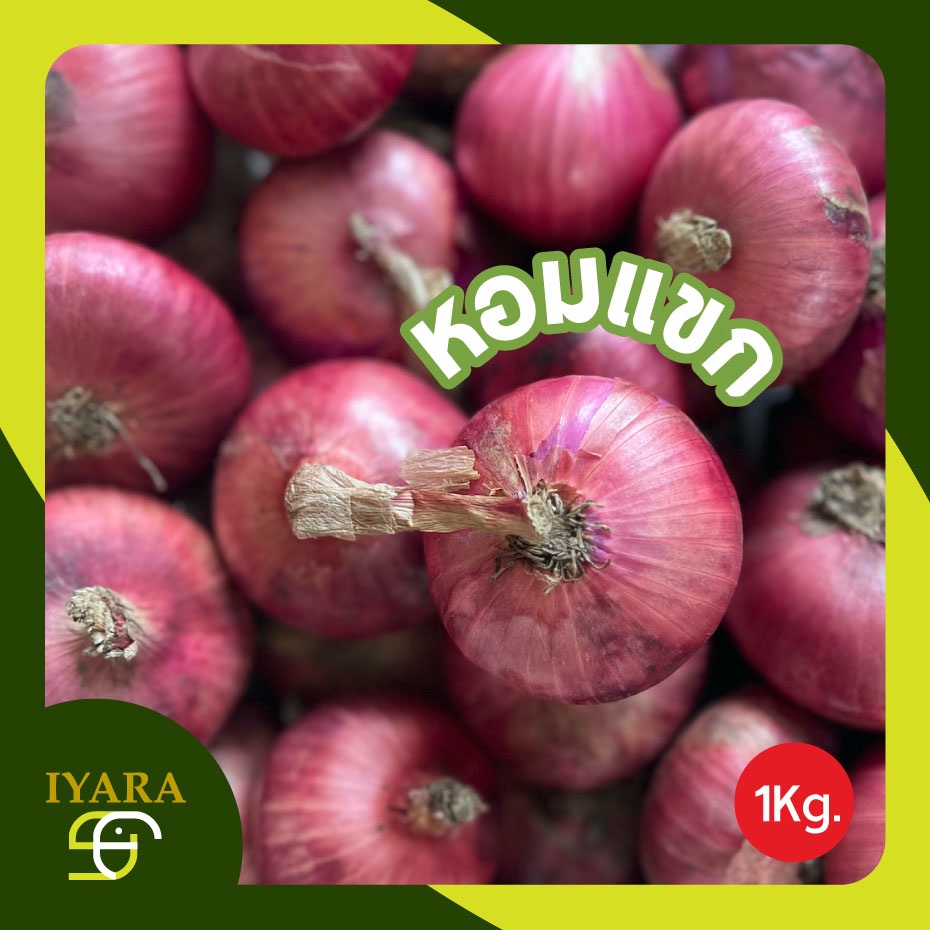 🌰 หอมแขกจีนหัวใหญ่ 1กิโลกรัม 🌰 ใช้ทำยำ หัวขนาดใหญ่