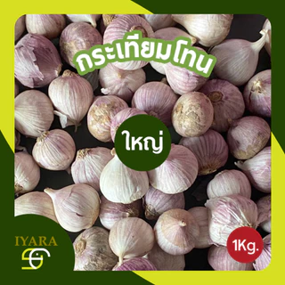 กระเทียมโทน กระเทียมโทนสด 1กิโลกรัม