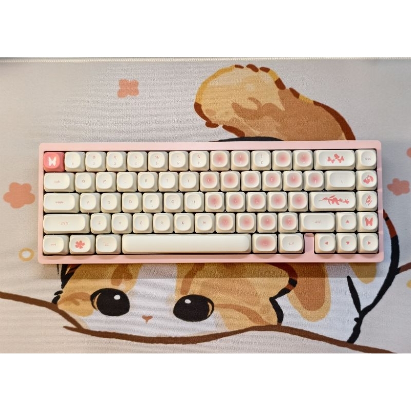 🇹🇭 ฟรีสติ๊กเกอร์ไทย Minimalist MOA Keycaps โคตรน่ารัก 124 ปุ่ม คีย์แคป มินิมอล PBT พร้อมส่งจากไทย