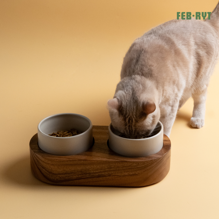 (1หลุม/2หลุม) Chunky Wooden Stand with bowl แท่นไม้ตันวางอาหาร+ชามสัตว์เลี้ยง ราคา ถูกที่สุด ดีลบีเคเค แกลเลอรีภาพที่ 5
