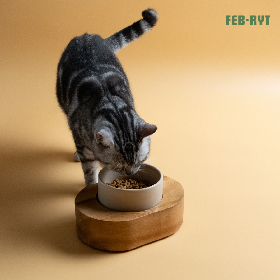 (1หลุม/2หลุม) Chunky Wooden Stand with bowl แท่นไม้ตันวางอาหาร+ชามสัตว์เลี้ยง ราคา ถูกที่สุด ดีลบีเคเค แกลเลอรีภาพที่ 2