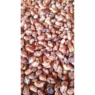 โปรคู่500กรัม(ถั่วลายเสือ500g.+ถั่วเสื้อลาย500g.)