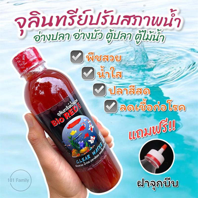 จุลินทรีย์น้ำแดง Bio RED 101 ขนาด 500 ml สำหรับปรับสภาพน้ำ ลดของเสียสะสม ทำให้น้ำใสโปร่ง บำรุงไม้น้ำ จุลินทรีย์อ่างปลา thumbnail 5