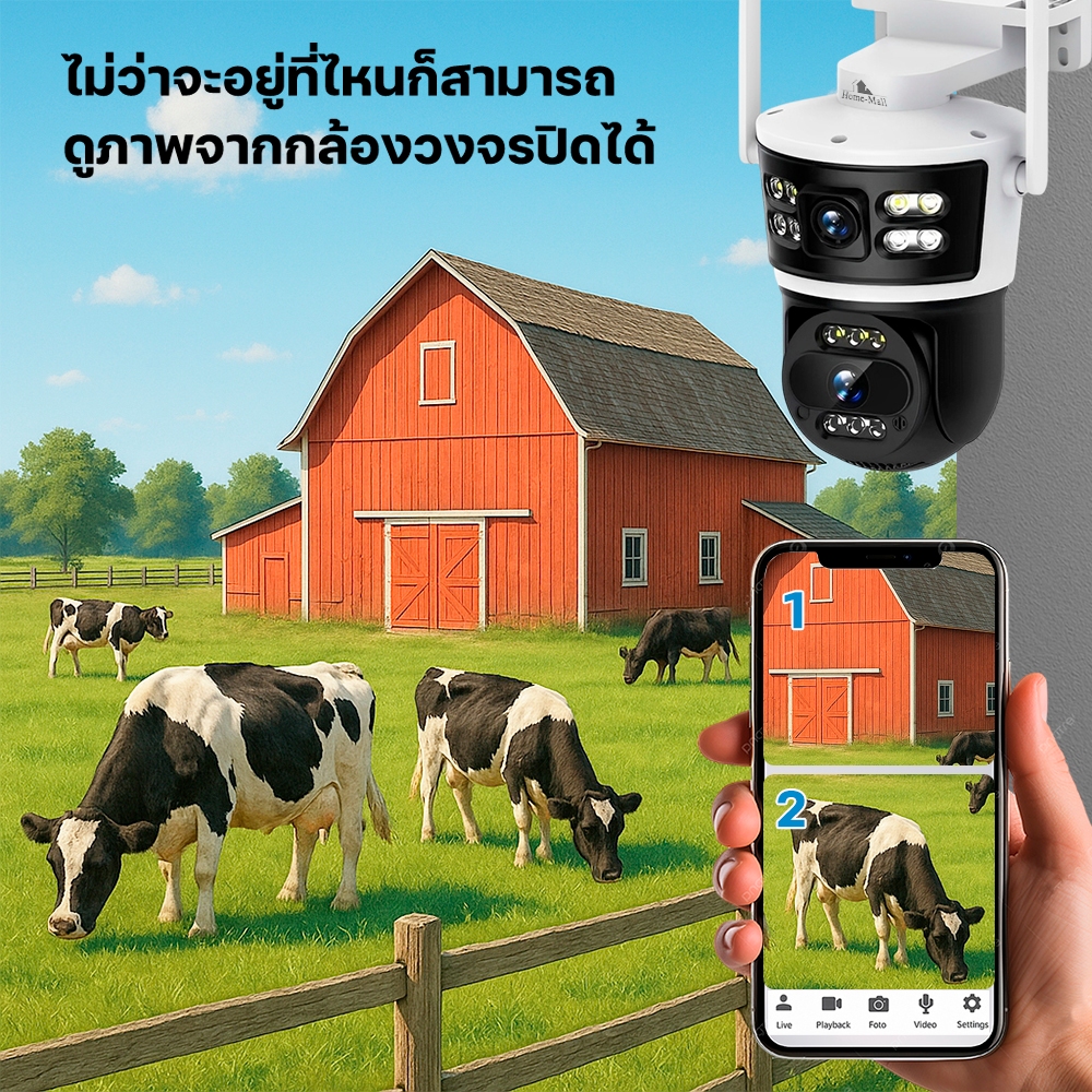 รูปภาพ 7