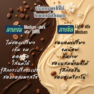 เดอะคัปป้า รวมกาแฟดริปแพค 10 ทุกดอย | The Cuppa Drip Coffee pack 10 collections