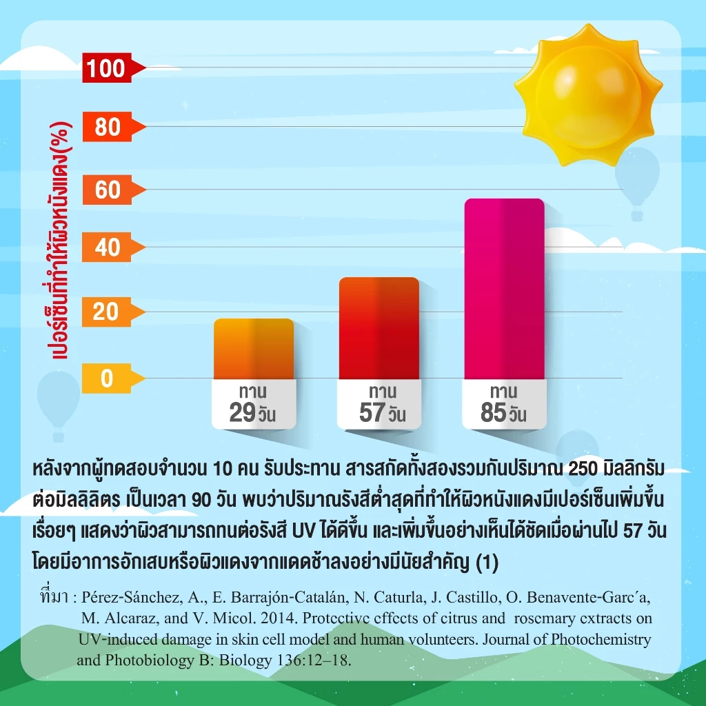 Nutroxsun คอลลาเจนกันแดด(10ซอง) 2 กล่อง นูทรอกซ์ซัน ผิวใส ฟรี ไฟเบอร์แล็กซ์ชัวร์ 1 ซอง[ส่งไวมากคร๊าบ] thumbnail 8