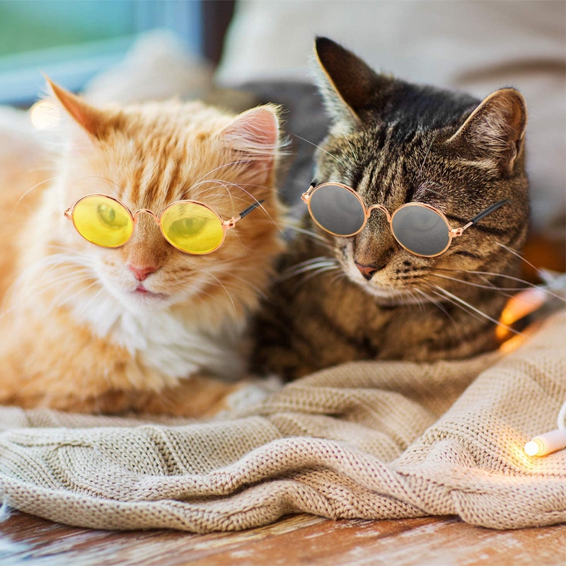 PETStar1 Pet Fashion Glasses แว่นตากันแดด ทรงกลม สะท้อนแสง น่ารัก พร็อพถ่ายรูป สไตล์เรโทร สําหรับสัตว์เลี้ยง สุนัข แม ราคา ถูกที่สุด ดีลบีเคเค แกลเลอรีภาพที่ 6