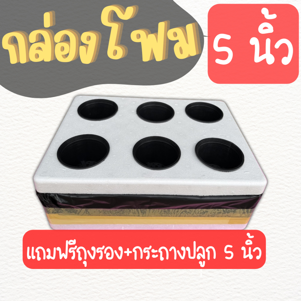 กล่องโฟมเจาะรู 5 นิ้ว พร้อม กระถาง 5 นิ้ว (**กล่องโฟมพร้อมรองถุง**) เจาะ 5 นิ้ว