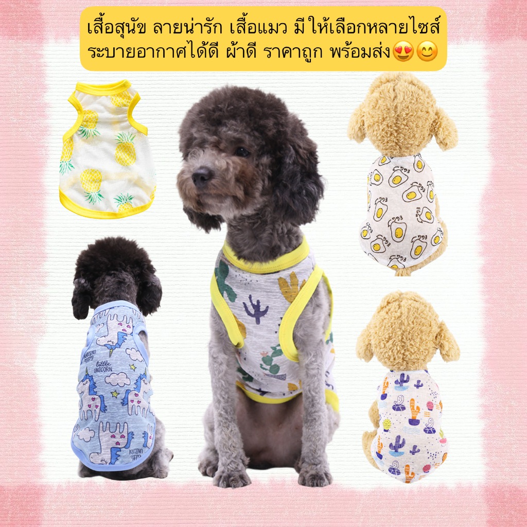PP-689 เสื้อสัตว์เลี้ยงลายน่ารัก สำหรับน้องหมาและน้องแมว มีให้เลือกหลายไซส์ ผ้านุ่ม ใส่สบาย ราคาน่ารัก พร้อมส่ง