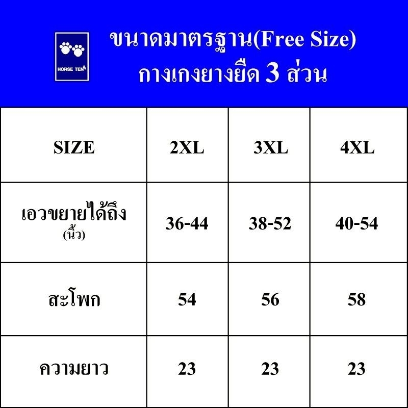 Horse ten 2xL,3XL,4XL กางเกงยางยืด 3 ส่วน ไซส์ใหญ่พิเศษ ราคา ถูกที่สุด ดีลบีเคเค แกลเลอรีภาพที่ 3