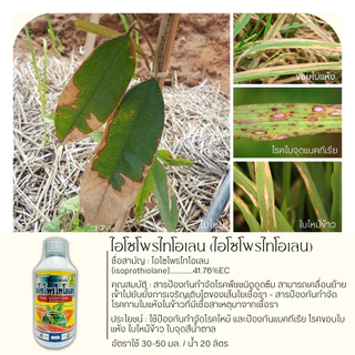 ไอโซโพไทโอเลน 1ลิตร (ไอโซโพรไทโอเลน) ป้องกันโรคไหม้ในนาข้าว ขอบใบแห้ง
