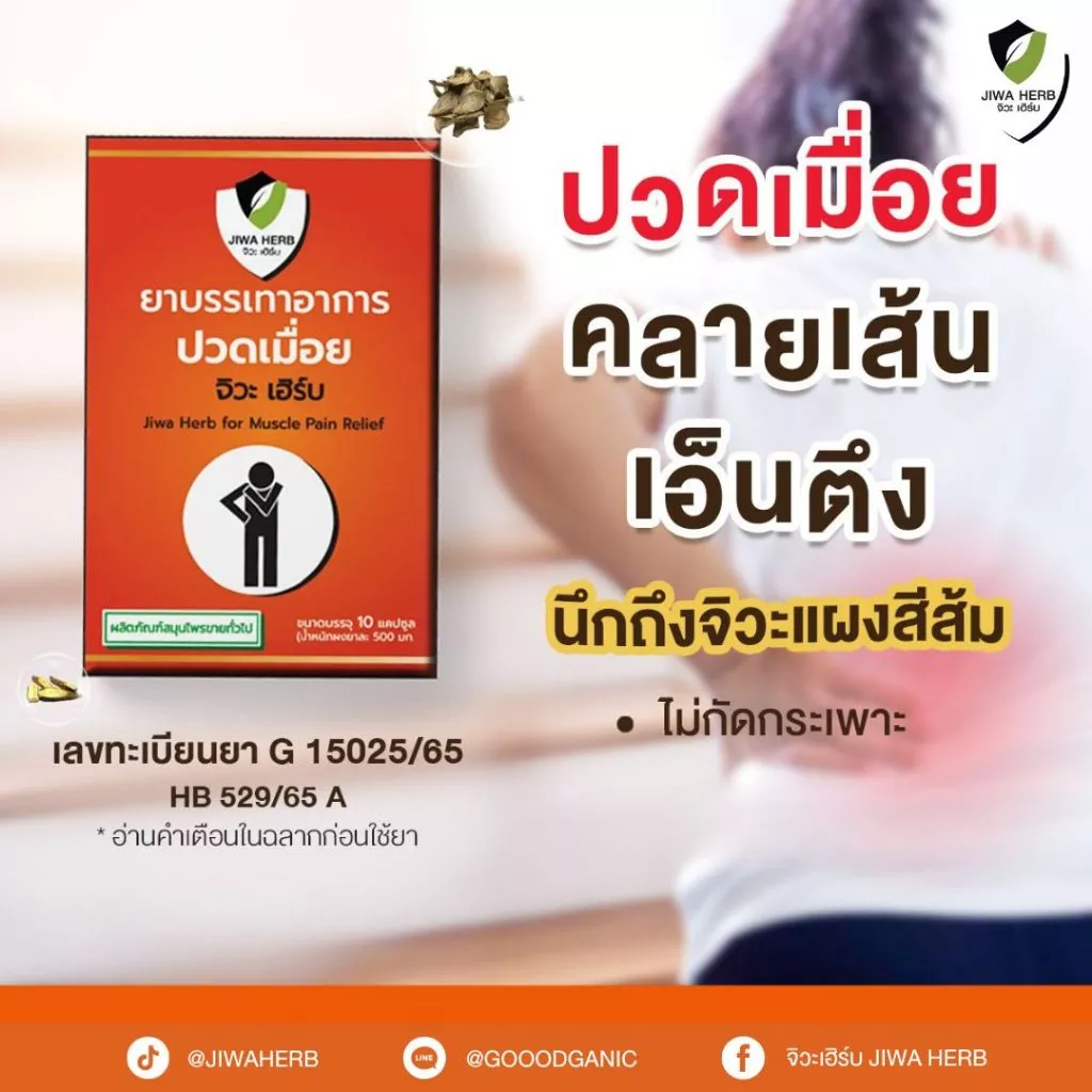 ยาบรรเทาอาการปวดเมื่อย สมุนไพรแก้ปวดเมื่อย ทานแล้วไม่กัดกระเพาะ ยาสามัญประจำบ้าน : จิวะเฮิร์บ