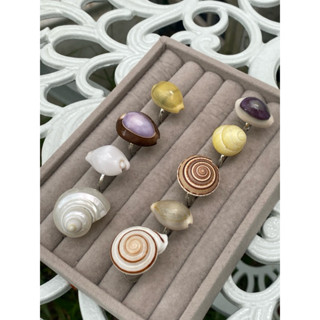 แหวนเปลือกหอยแท้ ธรรมชาติ ฟรีไซด์ อ้าขยายได้ แฟชั่นชายทะเล