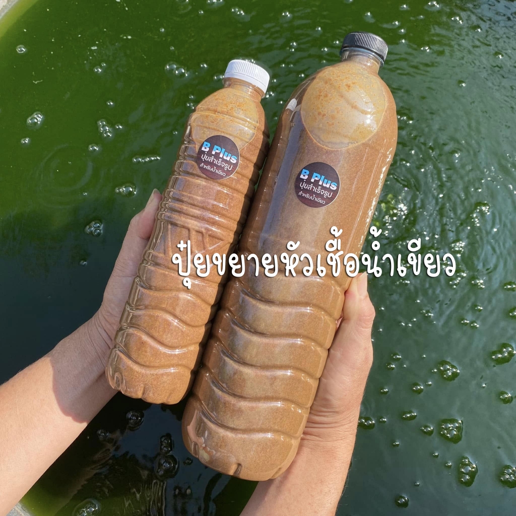 ปุ๋ยทำน้ำเขียวสำเร็จรูป (ไม่ใช่อามิ)