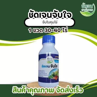 ชัดเจนจับใจ สารจับใบคุมไข่คุณภาพสูง ขนาด500 ml 30-40ไร่