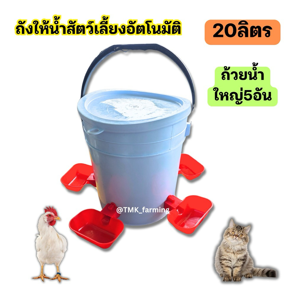 ถังให้น้ำไก่อัตโนมัติ ที่ให้น้ำแมวสัตว์เลี้ยงอัตโนมัติ 20ลิตร พร้อมถ้วยน้ำขนาดใหญ่5อัน