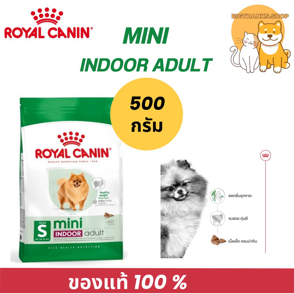 Royal canin mini indoor adult 500 g. Exp.06/27 เลี้ยงในบ้าน 10 เดือน- 8 ปี  [นน.ต่ำกว่า 10 กก.]