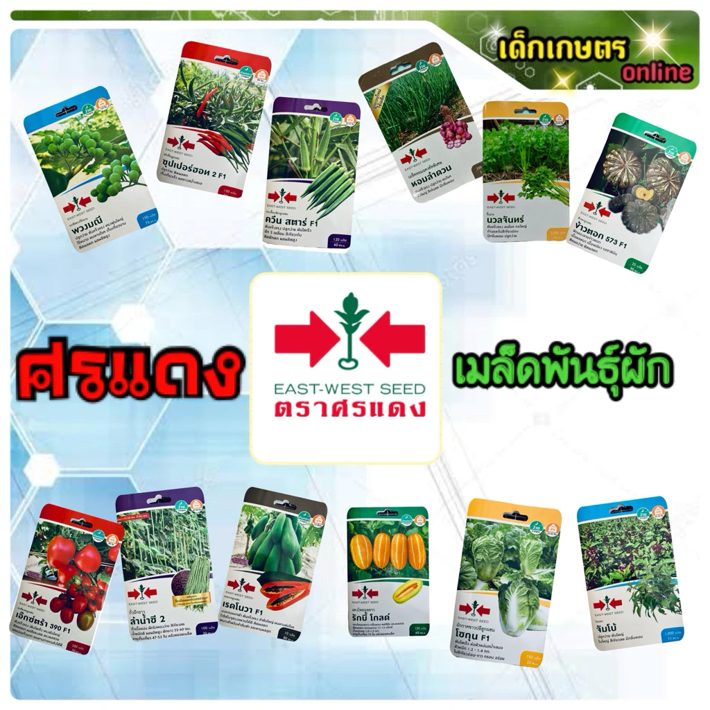 เมล็ดพันธุ์ผัก ศรแดง เมล็ดผัก ซอง