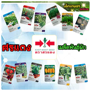 เมล็ดพันธุ์ผัก ศรแดง เมล็ดผัก ซอง
