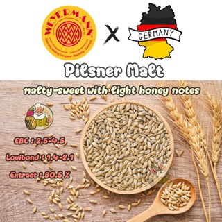 พิลส์เนอร์ มอลต์ - Pilsner Malt – Weyermann® มอลต์