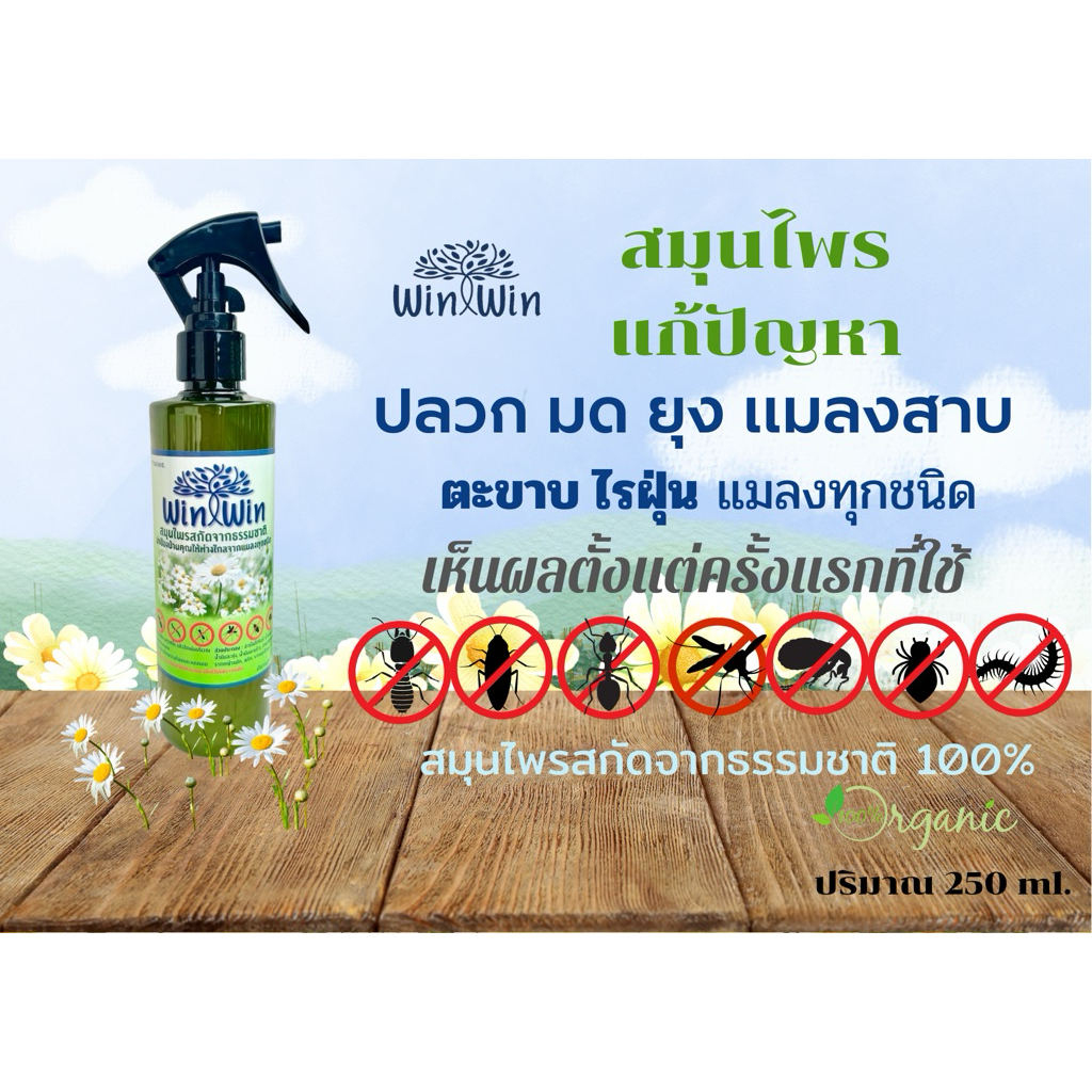 สเปรย์ไล่แมลงทุกชนิด ไล่มด แมลงสาป ปลวก ฯลฯ Win Win ขนาด 250 cc
