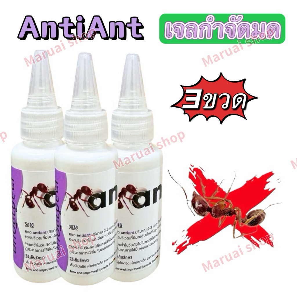 เจลกำจัดมด antiant ขนาด 50 กรัม สินค้าคุณภาพ [3ขวด]