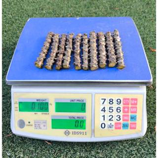 บอระเพ็ดสด ตัดเป็นท่อน ท่อนละ4นิ้ว น้ำหนักประมาณ 100 กรัม