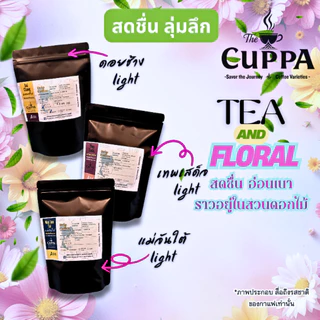 เดอะคัปป้า รวมกาแฟดริปแพค 10 ทุกดอย | The Cuppa Drip Coffee pack 10 collections