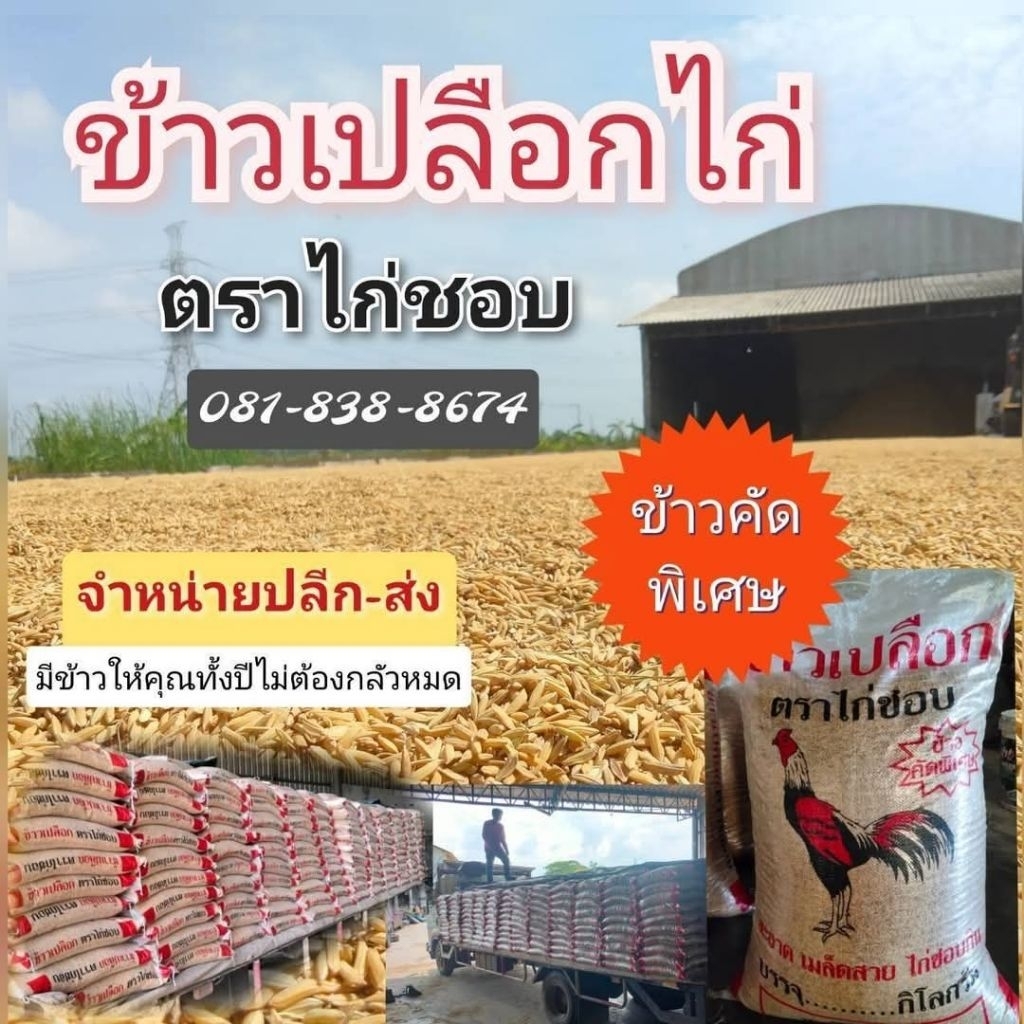 ข้าวไก่ข้าวไก่ตราไก่ชอบ บรรจุ10โล