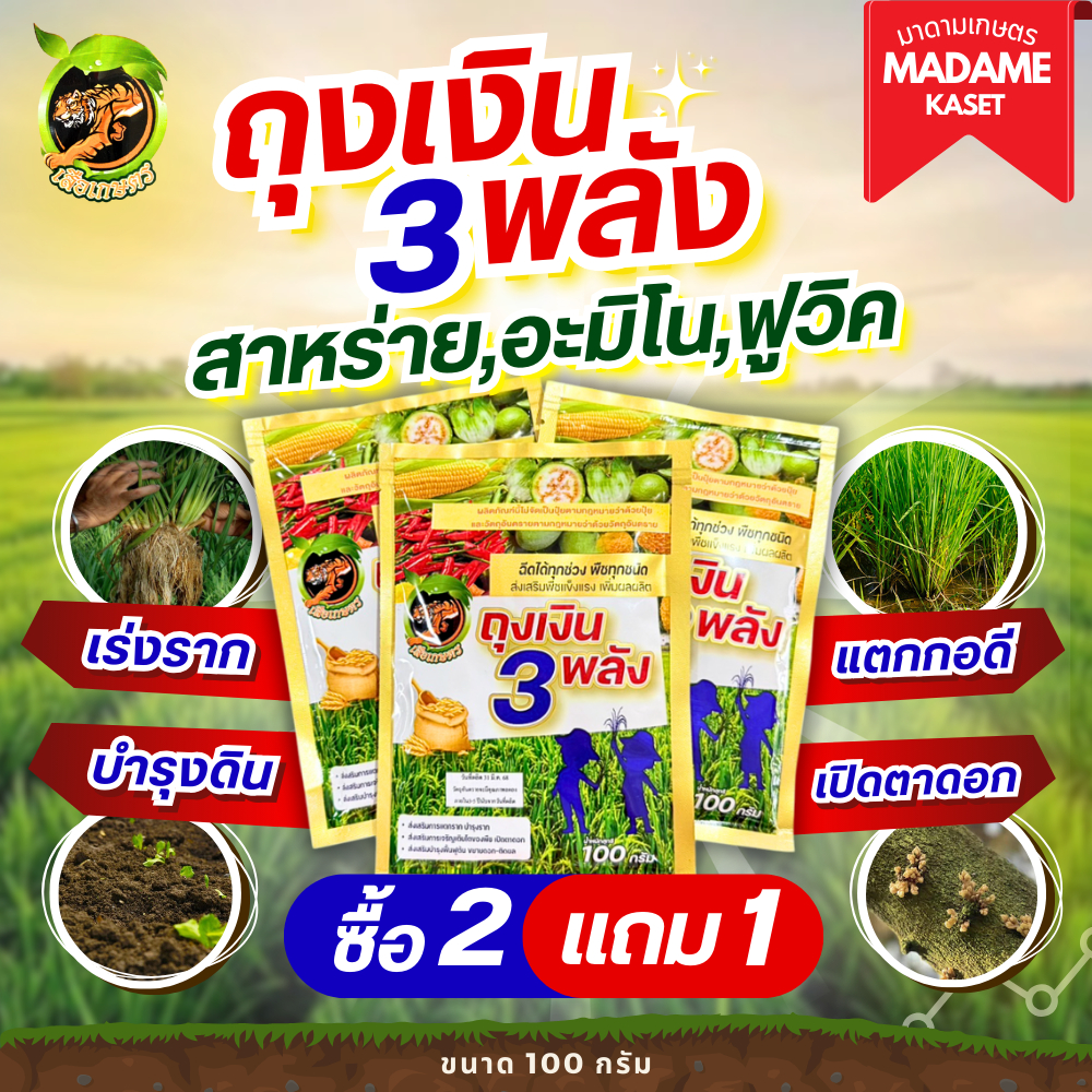 (ซื้อ2แถม1) ถุงเงิน 3 พลัง (สาหร่าย-อะมิโน-ฟูวิค) เร่งราก ปรับปรุงดิน เปิดตาดอก ช่วยข้าวแตกกอ ใบเขียว ต้นแกร่ง ชนิดผง ขน