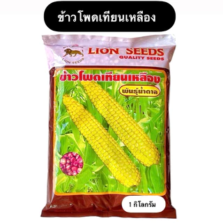 สิงโต เมล็ด ข้าวโพด ขาวปุ้มปุ้ย,เทียนดำ,ข้าวโพดเทียนม่วง-ขาว,เทียน3สี,เทียนเหลือง,เทียนขาว,แปดแถว,สวีท (1 กิโลกรัม)