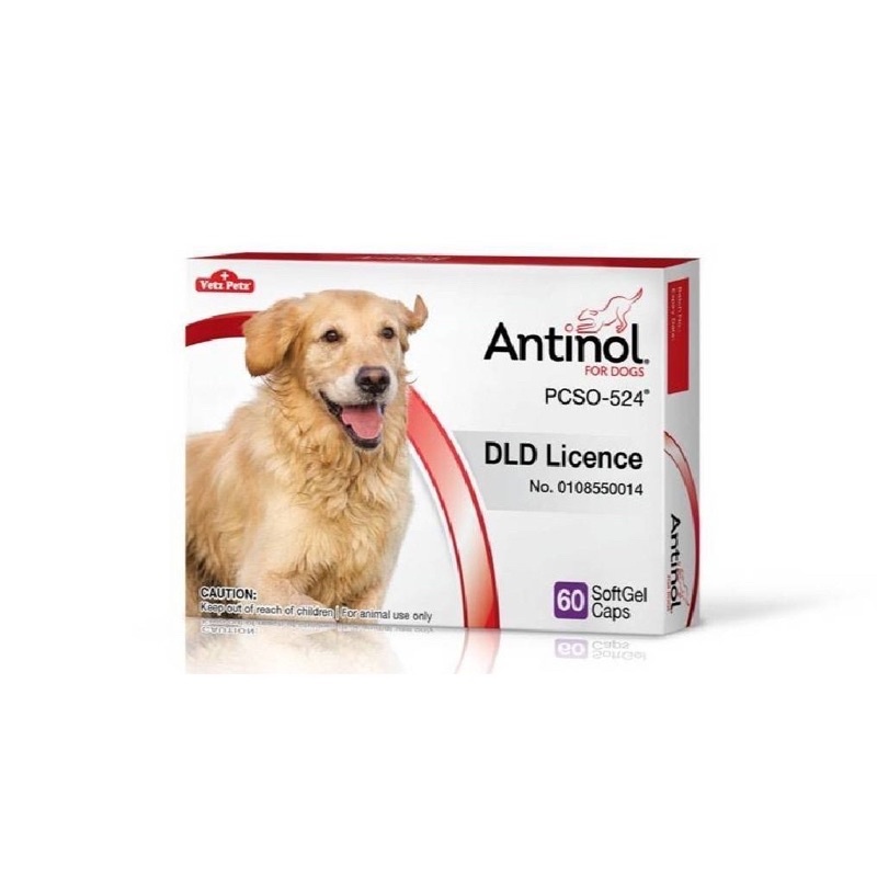 Antinol DOG 60 แคปซูล อาหารเสริมบำรุงข้อ ข้ออักเสบ 1 กล่องบรรจุ 60 เม็ด