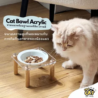A Cute Pet ชามใส่อาหารแมว ชามแมว พร้อมฐานอะคริลิค นำเข้าจากเกาหลี ทนต่ออุณภูมิสูง By Heycat