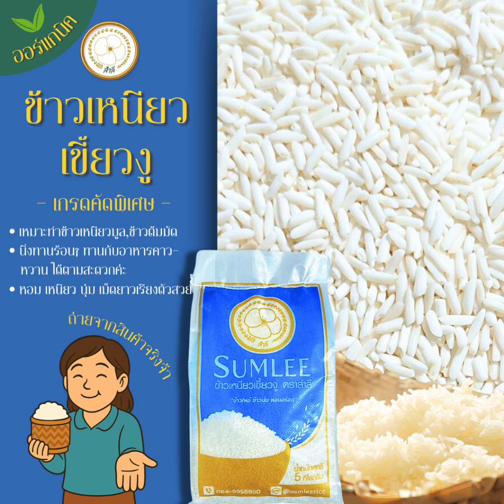 ข้าวเหนียวเขี้ยวงูแท้ 100% 5 กิโล (ปลูกจากเชียงราย)