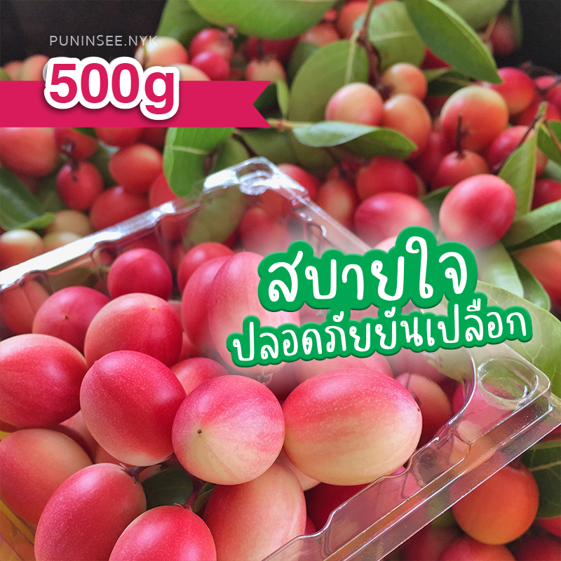 500g+ เก็บใหม่ คัดทุกลูก มะนาวโห่ ปลอดสารเคมี (Bengal Currants) คุณภาพเกินราคา ปลูกเองขายเอง