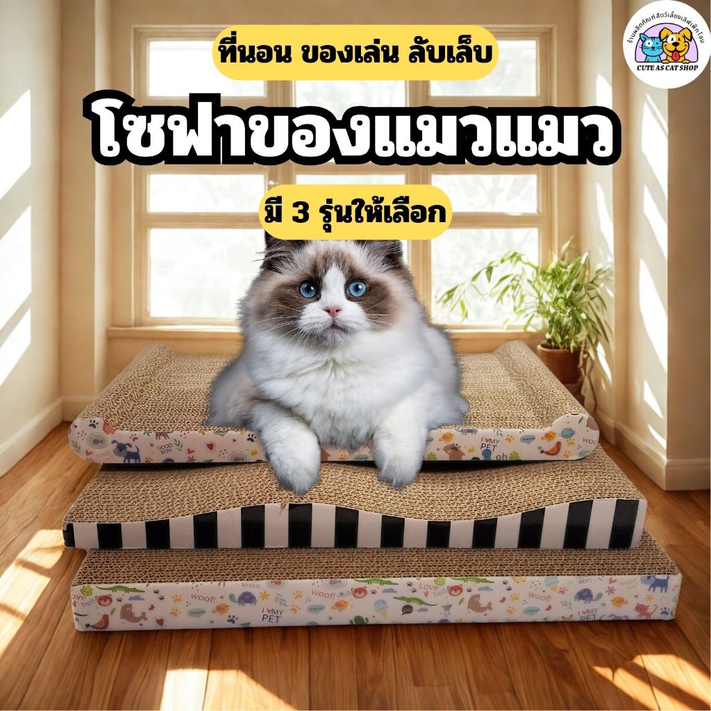 ที่ลับเล็บแมว โซฟาที่ลับ เล็บแมว ที่ฝนเล็บแมว โซฟาลับเล็บแมว อ่างลับเล็บ ที่ฝนเล็บสัตว์เลี้ยง