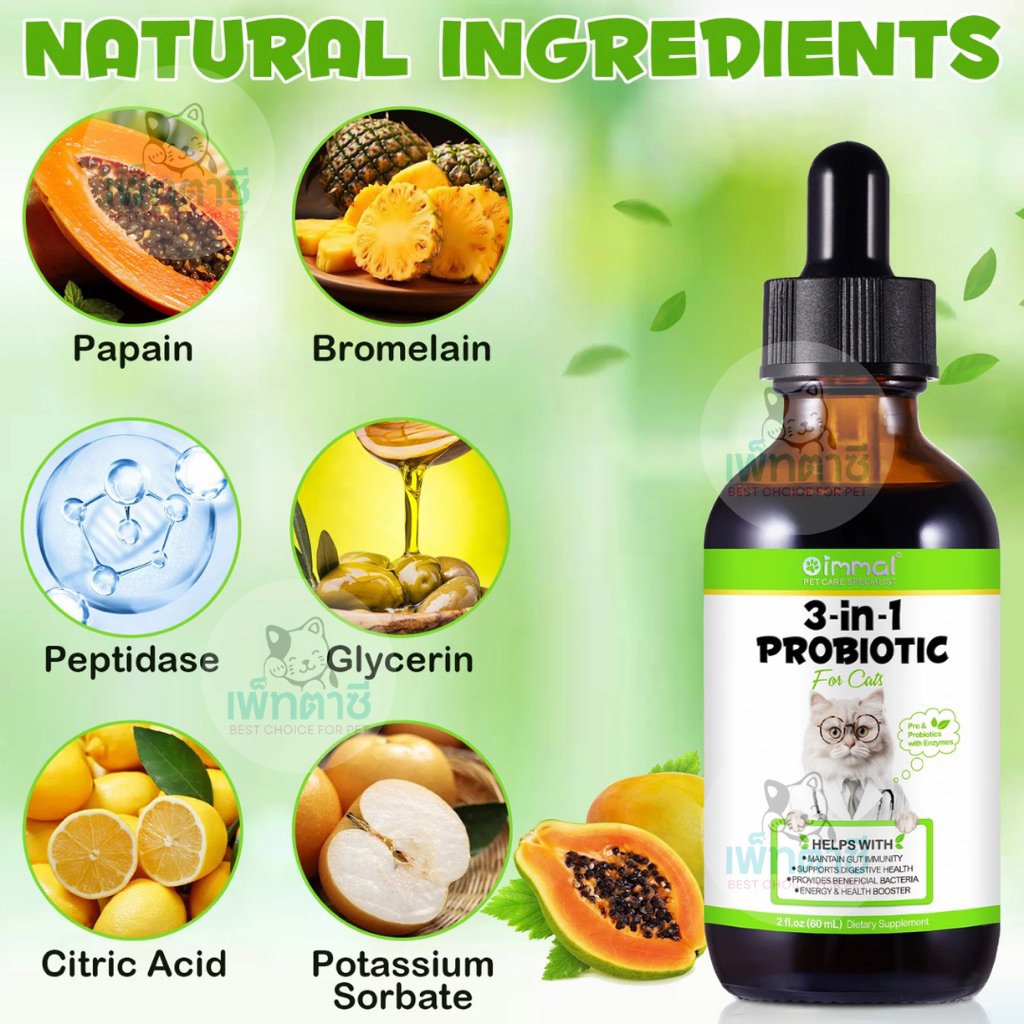 รูปภาพ 6