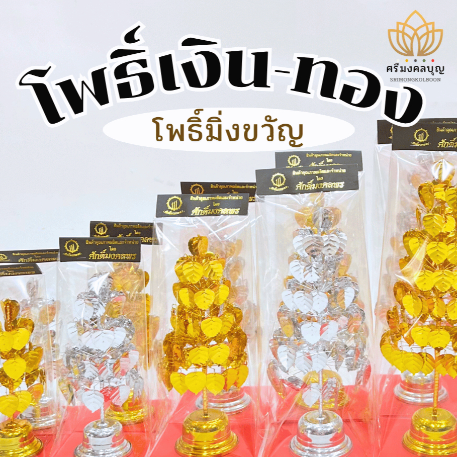 โพธิ์เงิน โพธิ์ทอง โพธื์มิ่งขวัญ โพธิ์ศาลพระภูมิ โพธิ์เงินทอง ต้นโพธิ์เงินโพธิ์ทอง
