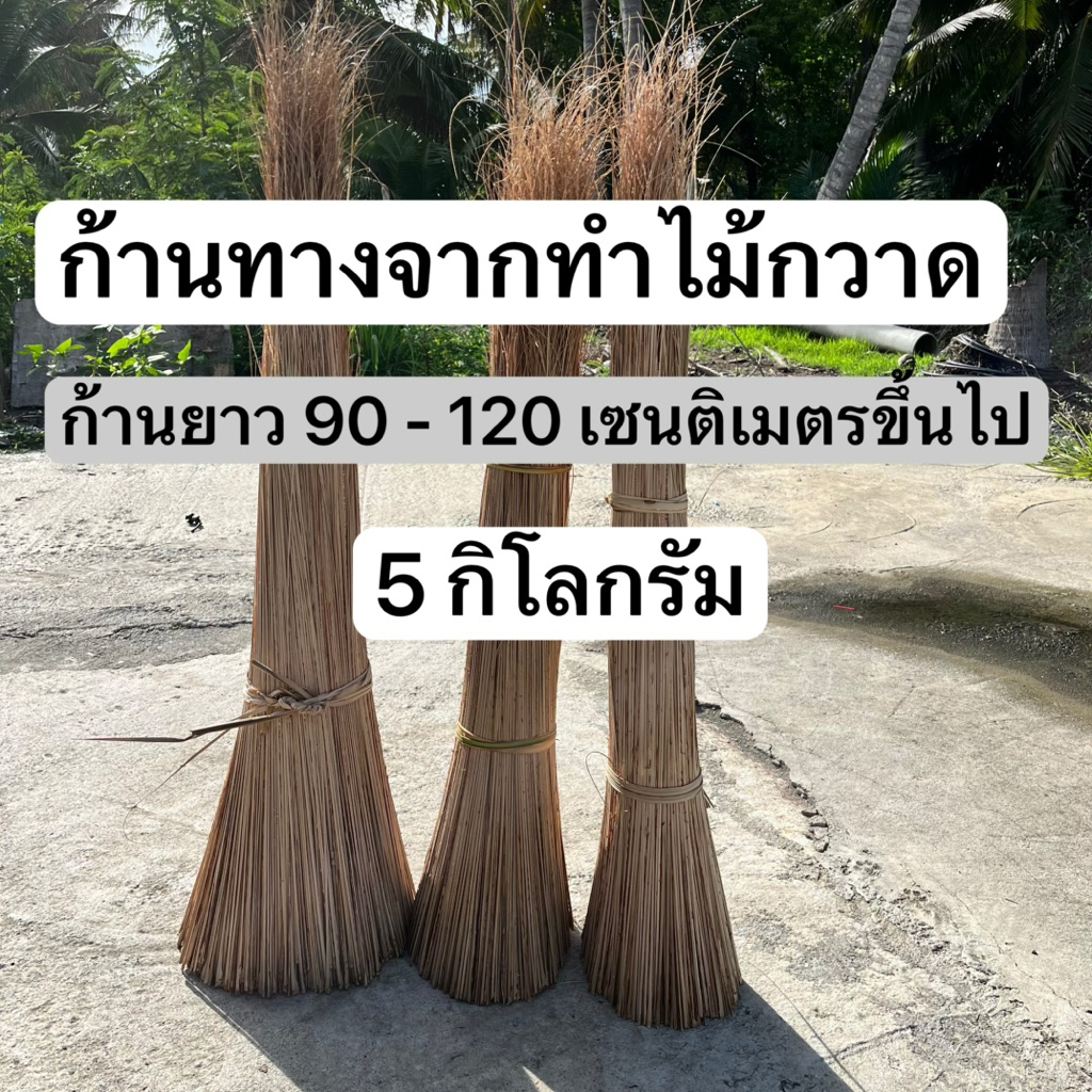 ก้านทางจาก ก้านทำไม้กวาดทางจาก ยาว 90 - 120 เซนติเมตรขึ้นไป น้ำหนัก 5 กิโลกรัม