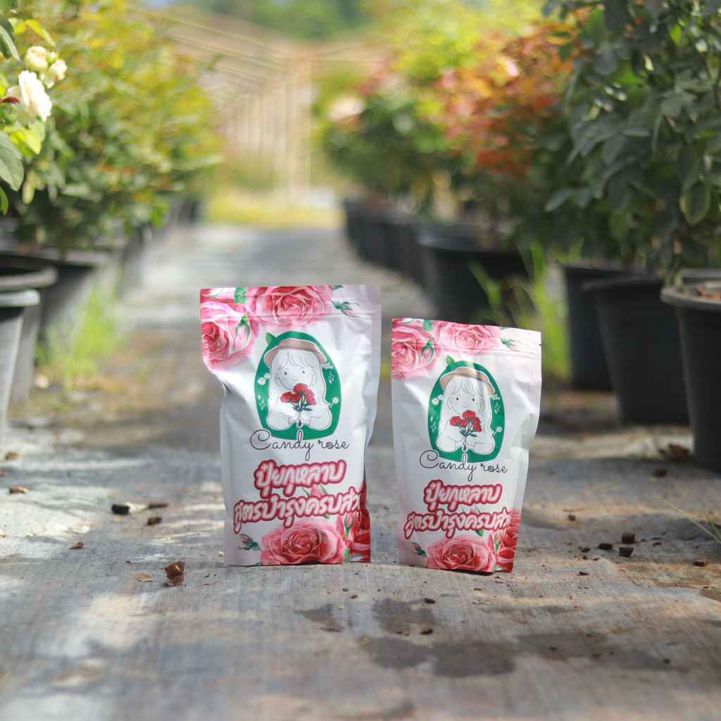 [ขนาด 500 กรัม]ปุ๋ยกุหลาบ สูตรบำรุง ครบส่วน คุ้มค่า ดอกไม้ตกแต่งบ้าน สวยงามไว้ใจ Candy Rose