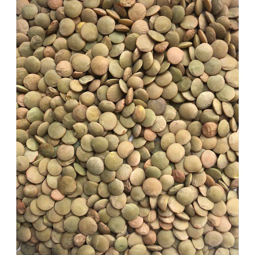SYMBIOSIS | Organic/Bio Green Lentils 1Kg | Gluten-Free | High Protein | Fiber-Rich | Turkey Product