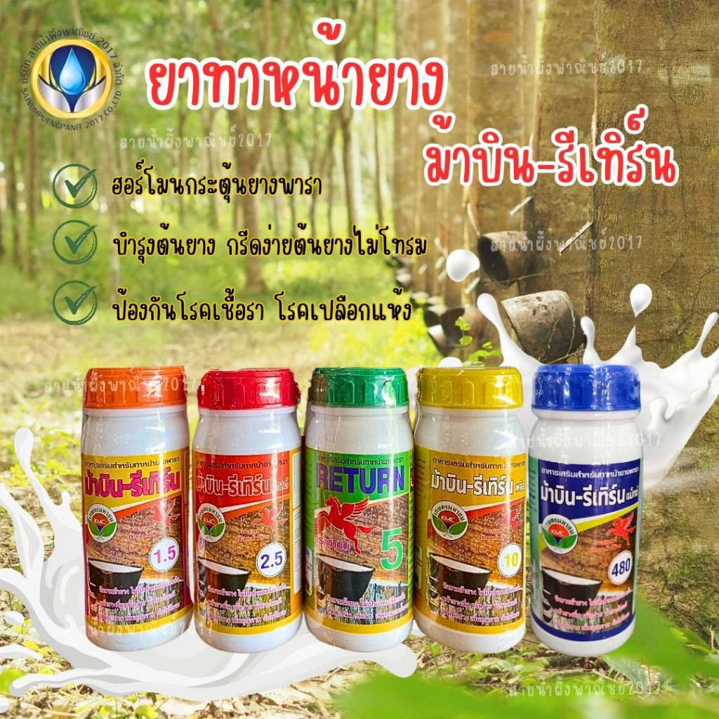 ยาทาหน้ายาง RETURN 480/1.5/2.5/5/10 อาหารเสริมสำหรับทาหน้ายางพารา ไม่เป็นทำให้เปลือกแห้ง กรีดง่าย เพ