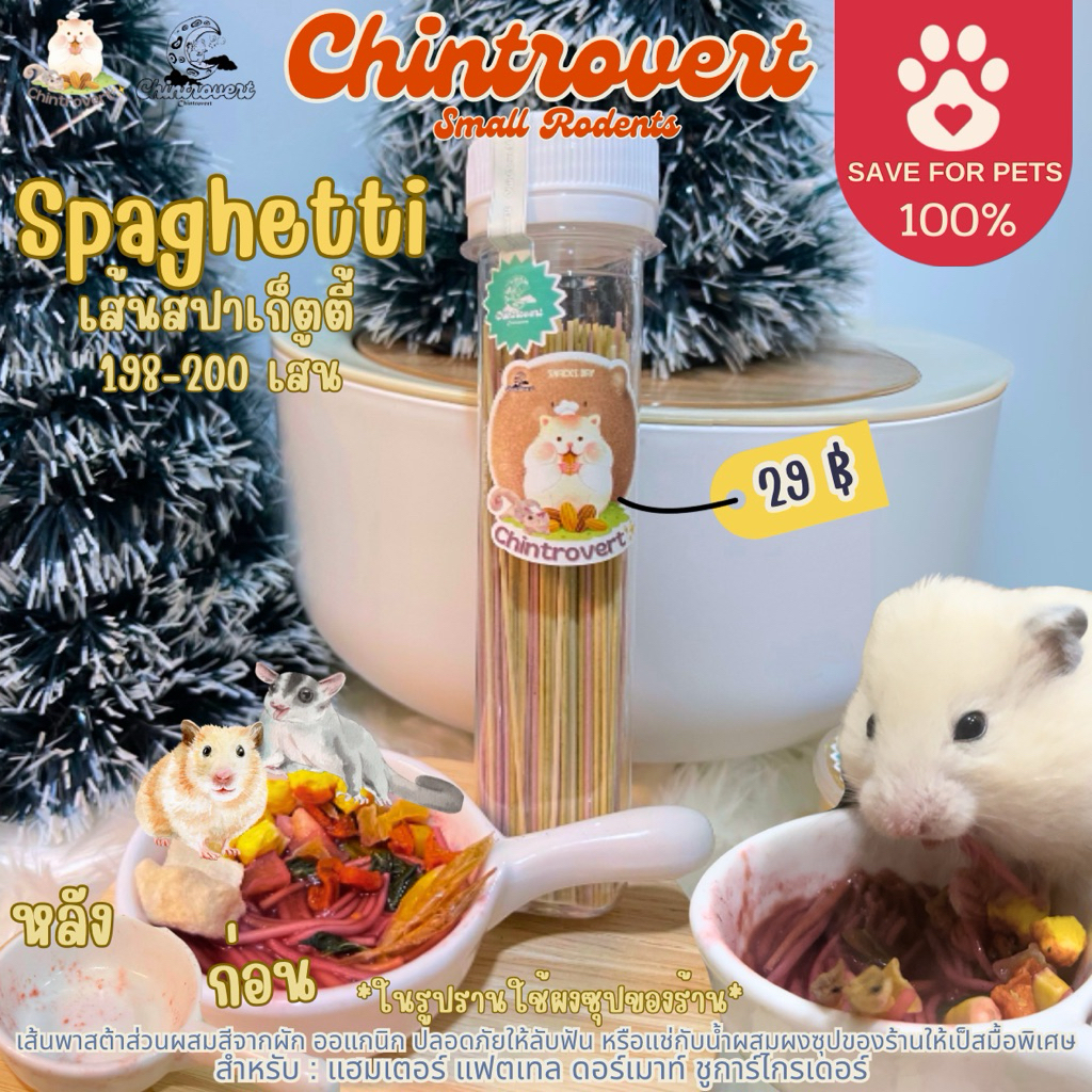 Chintrovert ✨| Spaghetti เส้นสปาเกตตี้ 198-200เส้น ช่วยลับฟัน/ทำเป็นอาหารมื้อสุดพิเศษ | แฮมเตอร์ แฟตเทล ดอร์เมาท์ ชูการ์