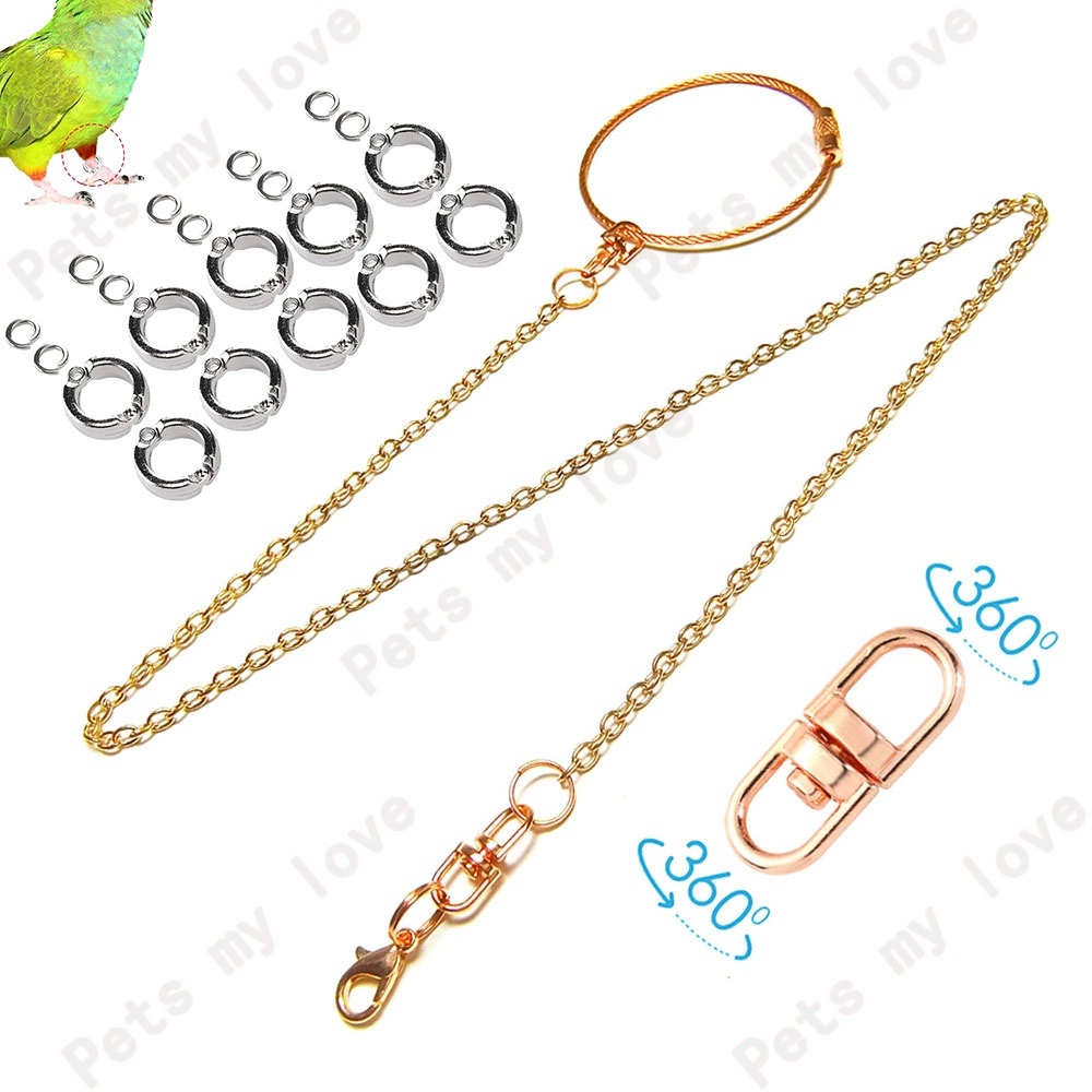 สีผสม สีโรสโกลด์ โซ่ขานก สายจูงนก เชือกนก เชือกนกแก้ว พร้อมห่วงขานก โซ่นก ห่วงนกแก้ว โซ่คล้องขานก