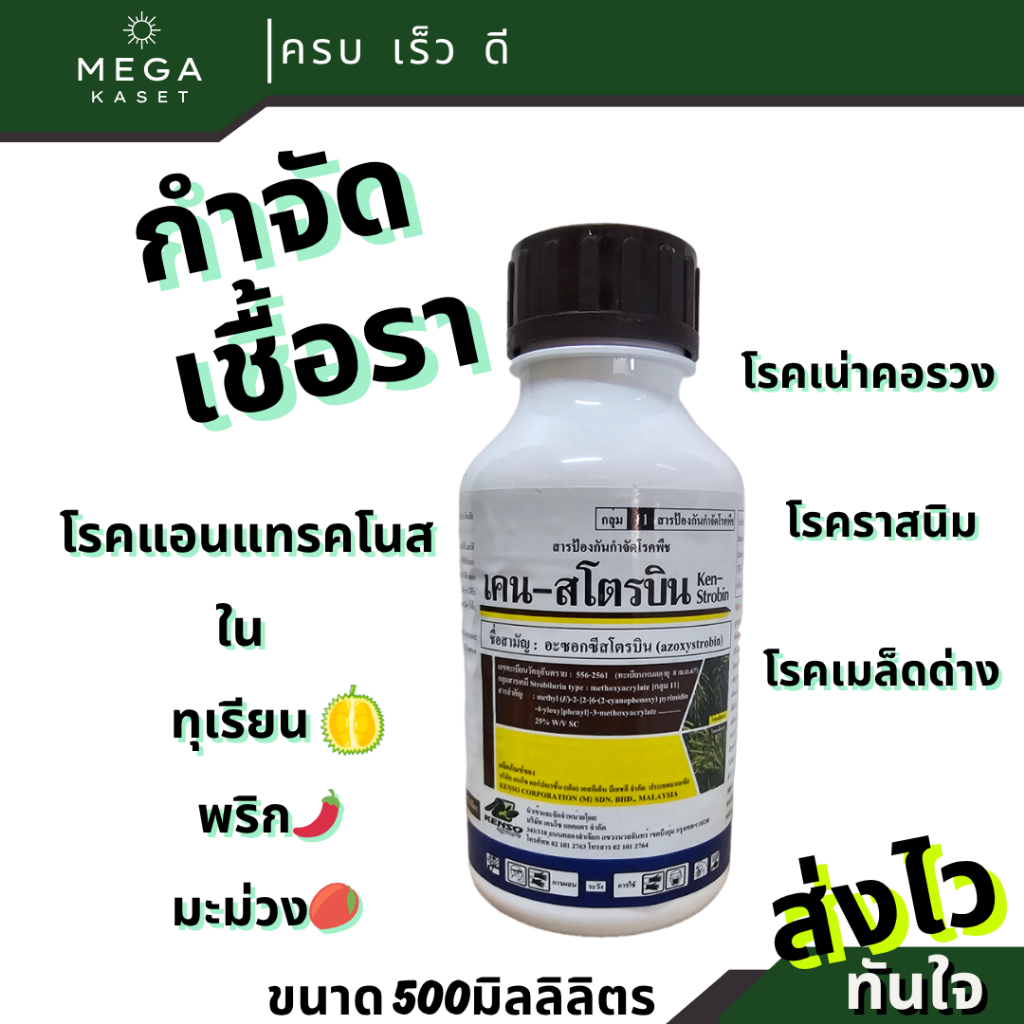 เคน-สโตรบิน 500 มิลลิลิตร อะซอกซีสโตรบิน25% กำจัดโรคกุ้งแห้ง แอนแทรคโนส ไฟท็อปเทอร่า ราสีชมพู ราน้ำค้าง ผลเน่า ช่อเน่า