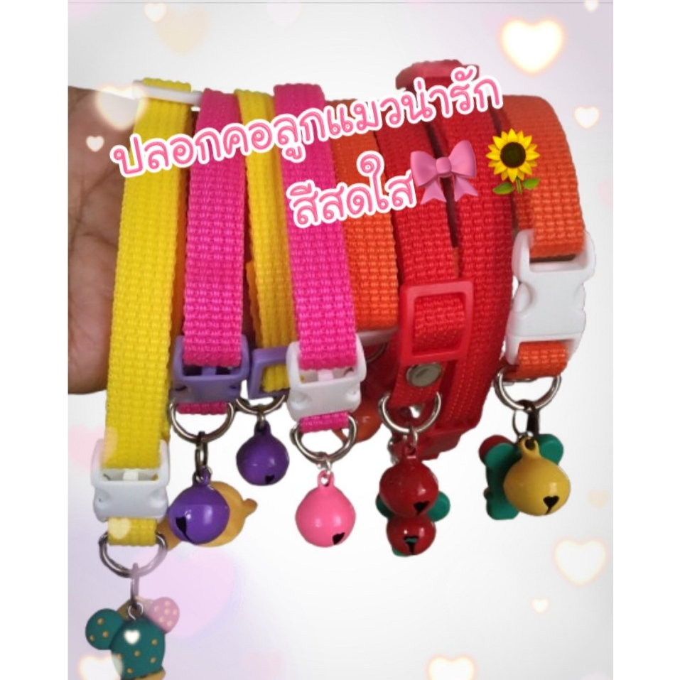 ปลอกคอแมว แมวเด็ก แมวโต น้องหมาตัวเล็ก สายนิ่ม แข็งแรง ไม่ขาดง่าย พร้อมกระดิ่ง สีสันสดใส น้ำหนักเบา พร้อมส่งในไทย
