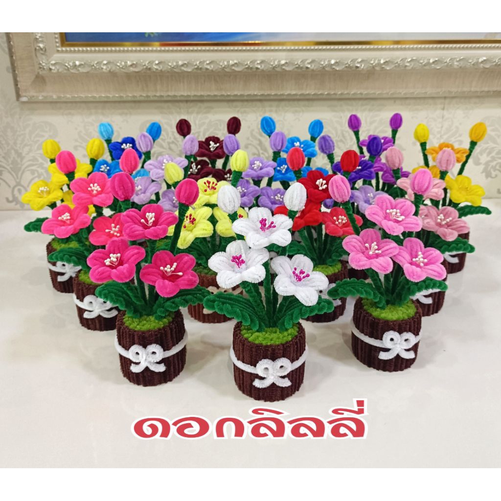 ดอกลิลลี่/เกษรขาว (ราคาต่อ 1 กระถาง) ลวดกำมะหยี่ สีสันสดใส โปรดอ่านรายละเอียดก่อนสั่งซื้อ