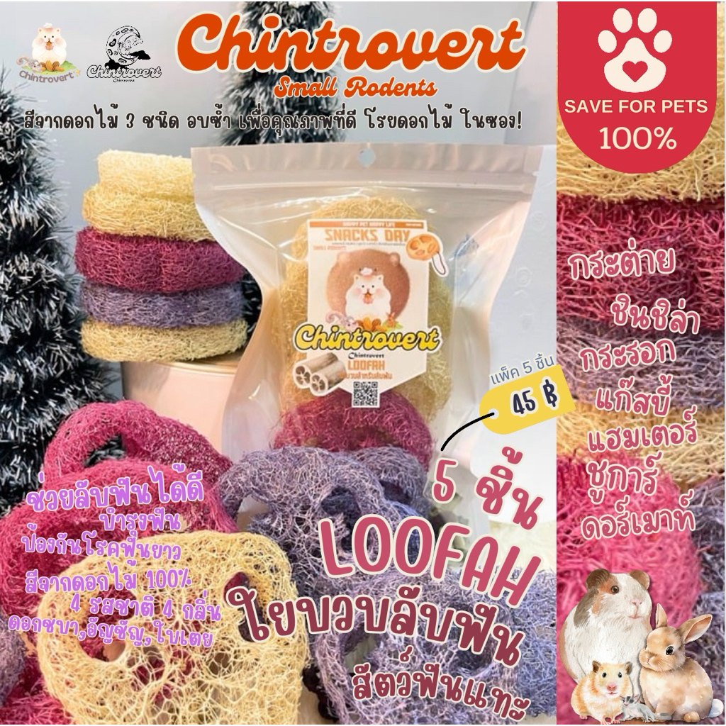Chintrovert ✨| Loofah ใยบวบลับฟัน สีจากดอกไม้ 3-5ชิ้น | กระต่าย ชินชิล่า แฮมเตอร์ แฟตเทล แพรี่ด็อก